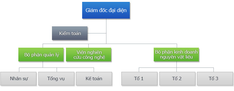 Giám đốc đại diện - Kiểm toán - Bộ phận quản lý(Nhân sự, Tổng vụ, Kế toán), Viện nghiên cứu công nghệ, Bộ phận kinh doanh nguyên vật liệu(Tổ 1, Tổ 2, Tổ 3)